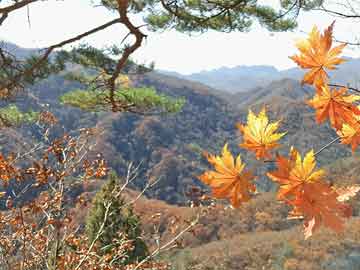 石國(guó)鵬最新動(dòng)態(tài)，引領(lǐng)科技潮流，重塑未來生活新體驗(yàn)