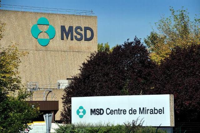 MSD幣實(shí)時價格最新動態(tài)，洞悉市場趨勢，掌握最新行情！