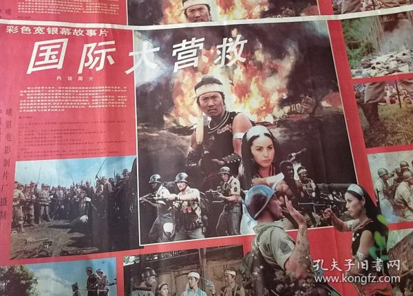 跨越國界的拯救行動，國際大營救電影深度解析