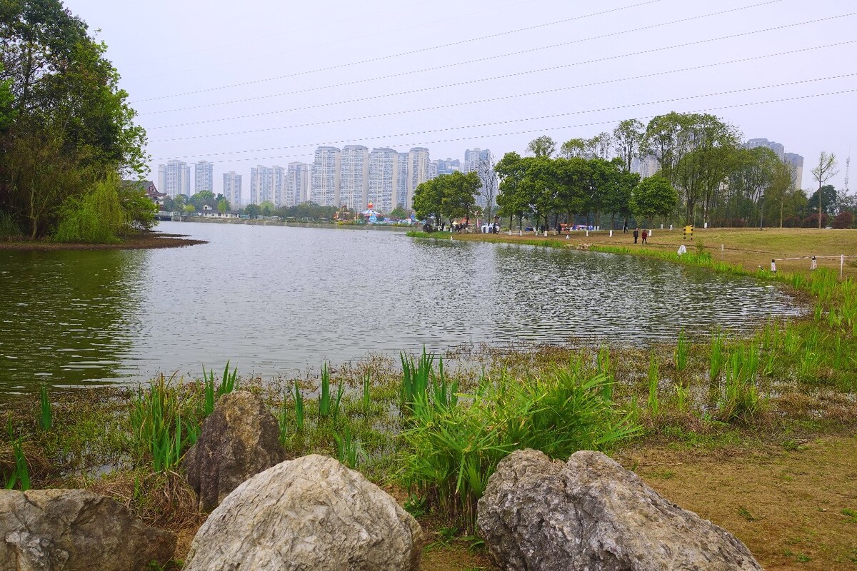 成都北湖公園最新動態(tài)，進(jìn)展喜人！????