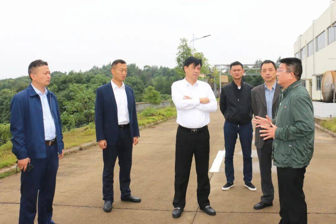 岳陽王小中最新動(dòng)態(tài)更新??