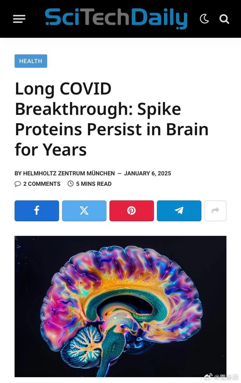 超越傳統(tǒng)認知，最新大腦革新觀點揭秘