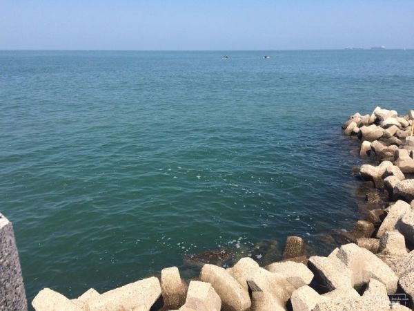 揭秘長島最新價(jià)格動(dòng)態(tài)！