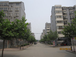 池州新港花園最新動態(tài)，購房指南與技能學(xué)習(xí)全解析