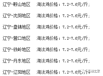 今日肉毛雞價格行情更新報告