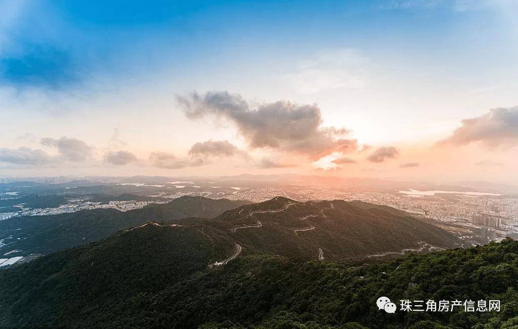 男人天堂最新故事，網(wǎng)站奇遇與真摯友情的探索之旅