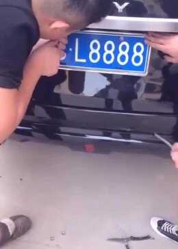 最新車牌號老司機的日常趣事概覽