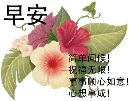 最新早安問候語微信，文化交流的體現(xiàn)與個人立場