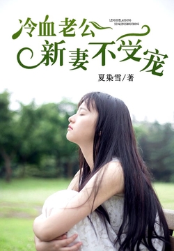 簡(jiǎn)夏冷彥小說最新閱讀，小巷神秘書香小屋的奇遇