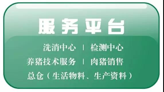 貴港揚(yáng)翔最新招聘信息，探尋職業(yè)發(fā)展的理想舞臺(tái)，等你來(lái)挑戰(zhàn)！